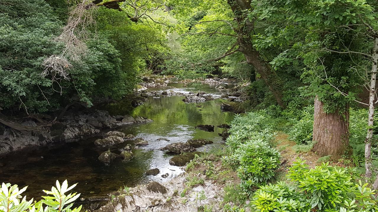 An Sibin B&B Kenmare Eksteriør bilde